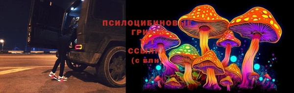скорость Коряжма