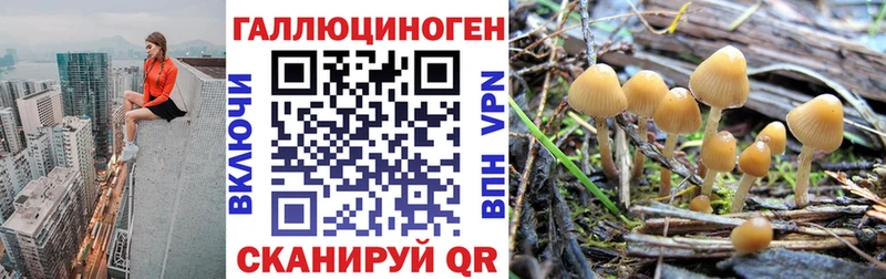 блэк спрут ТОР  как найти наркотики  Лодейное Поле  Галлюциногенные грибы MAGIC MUSHROOMS 